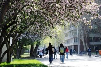 天津大學(xué)在職研究生好找工作